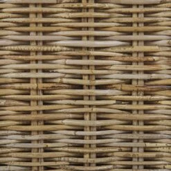 ARDEA - Tuinstoel Set Van 2 - Natuurlijk - Rotan -VIDAXL Winkel 0064a3e8646a4209a87160fdb092a332