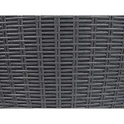 AISA - Koelbox - Zwart - Polypropyleen -VIDAXL Winkel 0747c4151047421ab9aaa7259a8b1d78