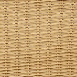PRASIMO - Tuinstoel Set Van 2 - Naturel - PE Rotan -VIDAXL Winkel 0cf7f8fdfb014af9b1c9e80da76b1378