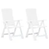 VidaXL Tuinstoelen 2 St Verstelbaar Kunststof Wit -VIDAXL Winkel 1000006296