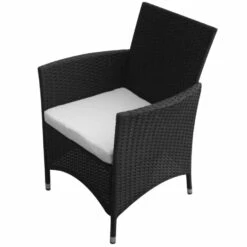 VidaXL Tuinstoelen 2 St Poly Rattan Zwart -VIDAXL Winkel 1000006326 0101