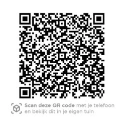 4 Seasons Outdoor Bernini Tuinstoel - Platinum -VIDAXL Winkel 1000040774 0103