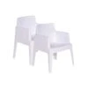 Garden Impressions Tuinstoel Box The Original Wit - 2 Stuks -VIDAXL Winkel 1000040788