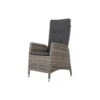VDG Manhattan Wicker Verstelbare Tuinstoel - Dubbel Light Grey -VIDAXL Winkel 1000048036