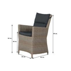 VDG Mante Wicker Tuinstoel - Dessert -VIDAXL Winkel 1000048051 0101