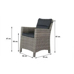 VDG Olivia Wicker Tuinstoel - Paloma Grijs -VIDAXL Winkel 1000048066 0101