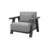 4 Seasons Iconic Loungestoel (1 St.) -VIDAXL Winkel 1000048696