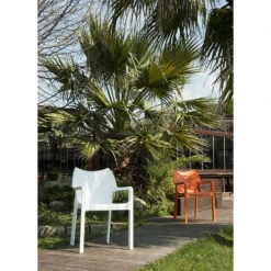 Garden Impressions Diva Tuinstoel Wit - 2 Stuks -VIDAXL Winkel 1000054064 0102