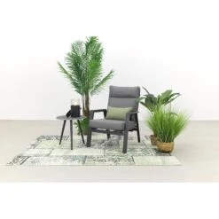 VDG Azoren Loungestoel Verstelbaar - Antraciet -VIDAXL Winkel 1000054950 0102