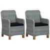 VidaXL Tuinstoelen 2 St Met Kussens Poly Rattan Lichtgrijs -VIDAXL Winkel 1000056516