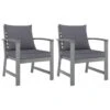 VidaXL Tuinstoelen 2 St Met Donkergrijze Kussens Massief Acaciahout -VIDAXL Winkel 1000056535