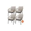 VDG Set Van 4 - Julia Dining Tuinstoel - Antraciet -VIDAXL Winkel 1000157491