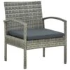 VidaXL - Tuin Fauteuil - Grijs - Poly Rattan -VIDAXL Winkel 1000158730