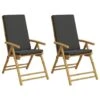 VidaXL - Inklapbaar Tuinstoelen - Kussens - Bruin - Bamboe - 2 Stuks -VIDAXL Winkel 1000172585