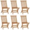 VidaXL - Tuinstoelen - Inklapbaar - Bruin - Massief Teakhout - 6 Stuks -VIDAXL Winkel 1000172603