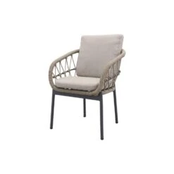 VDG Set Van 4 - Julia Dining Tuinstoel - Antraciet -VIDAXL Winkel 29566d4084124879b29a1e4df15a26c3