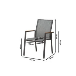 Atmos Stapelbare Tuinstoel - Antraciet/Teak -VIDAXL Winkel 35c5be7762c1448c8c16a95a537e089d
