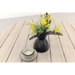 Hartman Sophie Element/GI Trinxa Ronde Tuinset - Ø148 Cm -VIDAXL Winkel 439b3b48256c467aaa711e2fac1be6bd