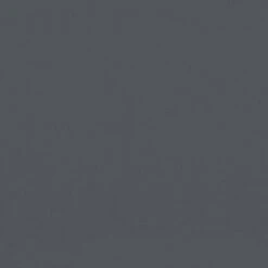 VidaXL - Tuinstoelen - Zwart - Grenenhout - 2 Stuks - Met Kussens -VIDAXL Winkel 47da0cb133eb470b911d9c3c99643792