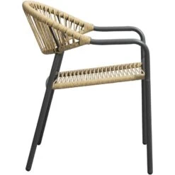 Terrasstoel Palamos - Naturel/antraciet -VIDAXL Winkel 50105610 8000