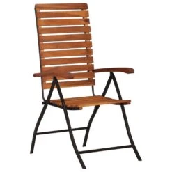 VidaXL 2 St Tuinstoelen Verstelbaar Massief Acaciahout -VIDAXL Winkel 50a31ebdfa8d4713afc72c103cd0bf6f