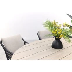 GI Margriet Zwart/zand / Edison 180 X 115 Cm. Tafel - Ovale Tuinset -VIDAXL Winkel 5515ca3518c94fb49241b7f50aed3794