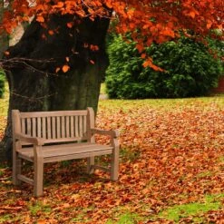 CLP Teakbank Teakbank 120 Cm Mit Abdeckhaube 120 Cm -VIDAXL Winkel 5a9f3ca4983f4b24939128a99a073052