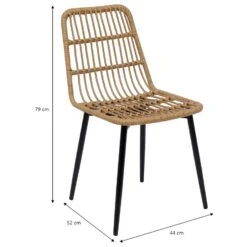 Set Van 4 Metalen En Rotan Tuinstoelen -VIDAXL Winkel 76f6bd18f4884030820dce4fff8ec28c