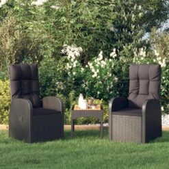 VidaXL Tuinstoelen 2 St Verstelbaar Met Kussens Poly Rattan Zwart Overig -VIDAXL Winkel 8051bd3789e6488380c5f21f2bfa5c10