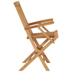 VidaXL - Tuinstoelen - 3 Stuks - Massief Teakhout - Inklapbaar -VIDAXL Winkel 88e02091473b4fb8abab34e048a1f08e