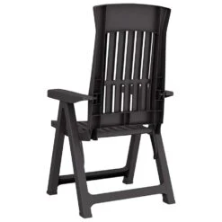 VidaXL - Verstelbare Tuinstoelen - Antraciet - Polypropyleen - 2 Stuks -VIDAXL Winkel 9715661294dd4dd5a7abf2ad607a1ff3
