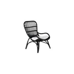 Svea - Yaral Loungestoel Met Voetenbank - Zwart - Rattan -VIDAXL Winkel 9baa9bb6658845998ce6ca22278a4ca6