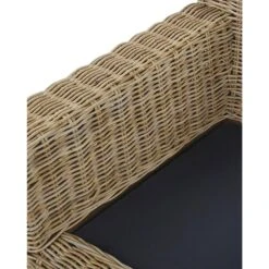 ARDEA - Tuinstoel Set Van 2 - Natuurlijk - Rotan -VIDAXL Winkel ae715f3c67854703a47b8ba5fc4a30d2