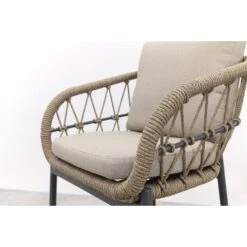 VDG Set Van 4 - Julia Dining Tuinstoel - Antraciet -VIDAXL Winkel b2996337cb6644c7bdce4ffd42842053