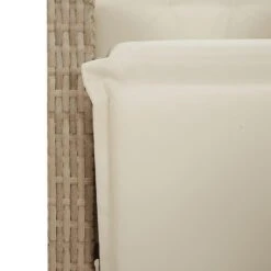 VidaXL - Verstelbare Tuinstoel Met Voetensteun - Beige - Poly Rattan -VIDAXL Winkel c28b9f828a6e487182d41949aae61ede