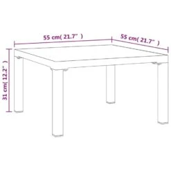 VidaXL - Tuintafel - Grijs - DPC En Staal - 55 X 55 X 31 Cm -VIDAXL Winkel c600f2ed09a043c2a23a23ddcb04a6a9