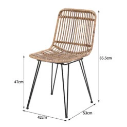 Set Van 2 Metalen En Natuurlijke Rotan Tuinstoelen -VIDAXL Winkel c94d7a7224804b9ab7d3231fa442f542