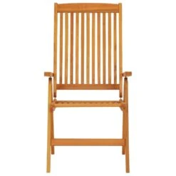 VidaXL - Tuinstoel - Bruin - Eucalyptushout - 2 Stuks - Inklapbaar -VIDAXL Winkel d72411e3d70045368e88f2e797885ba9