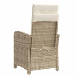 VidaXL - Tuinstoel Verstelbaar Met Kussens - Beige - Poly Rattan - 57x58.5x93 Cm -VIDAXL Winkel e55779d20ab847318cc2863566ad4e25