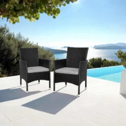 Tectake 2 Wicker Tuinstoelen Met 4 Kussenhoezen , Zwart/beige -VIDAXL Winkel e735cfd22148415295c6f6e34cdf161d