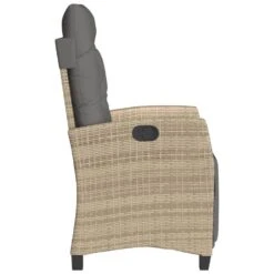 VidaXL - Tuinstoel Verstelbaar Met Voetensteun - Beige - Poly Rattan -VIDAXL Winkel ee0b5672b71c4768ab263c4969756ed3